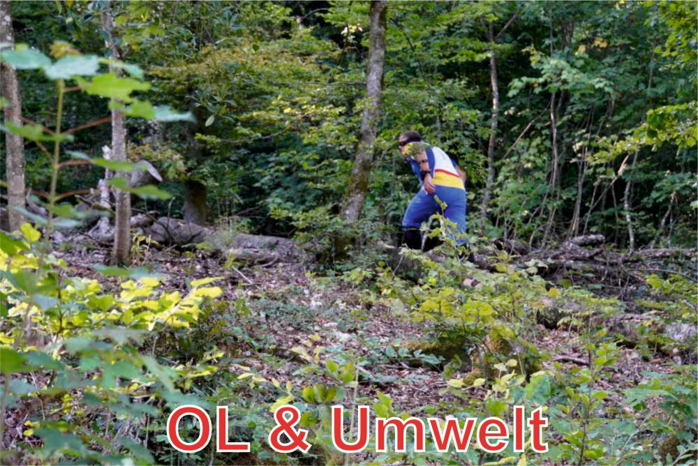 OL & Umwelt